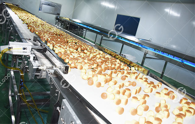 Muffin Production Line Manufacturer