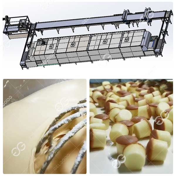 Cake Manufacturing Process