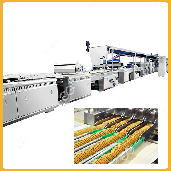 Biscuit Processing in A Factory