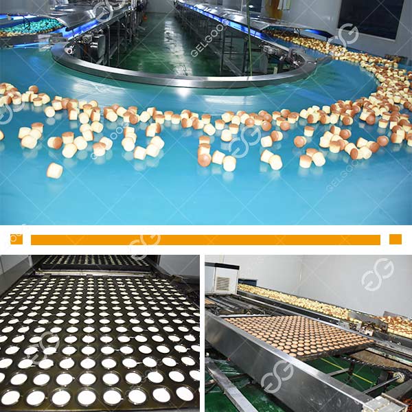 Fully Automatic Cake Production Line