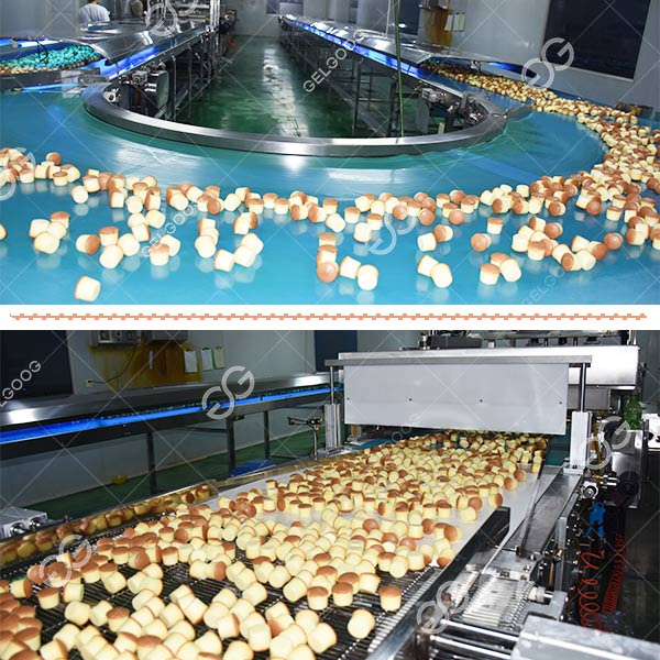 How Are Cakes Made in Factory
